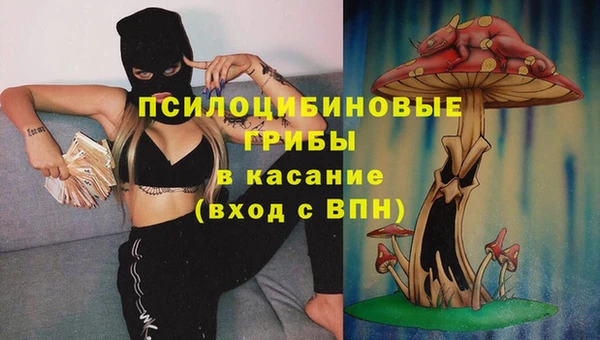 синтетический гашиш Алексин