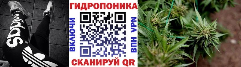 где можно купить   Пролетарск  Канабис SATIVA & INDICA 